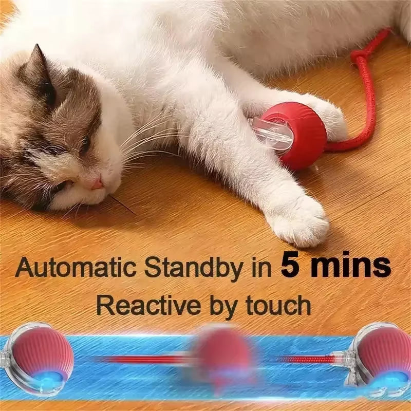 Interactive Dog Toys Rechargeable Pet Interactive Toys Electric Cats Ball Automatic Rolling Fake Tail Ball Dog Cats Toy